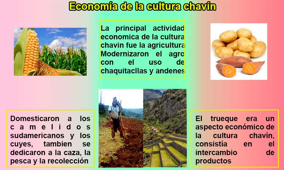 cultura chavin economia